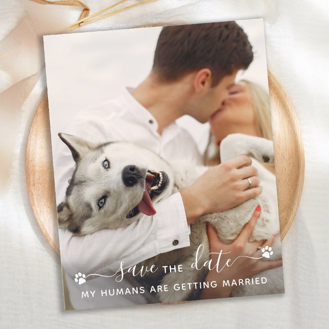 Custom Pet Photo Dog Wedding Save The Date QR Code (Creator Uploaded)