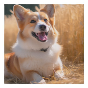 Custom Pet Photo Faux Canvas Print