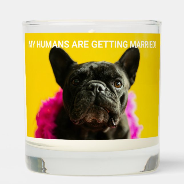 Custom Pet Photo Funny Engagement Married Quote Scented Candle (Front)