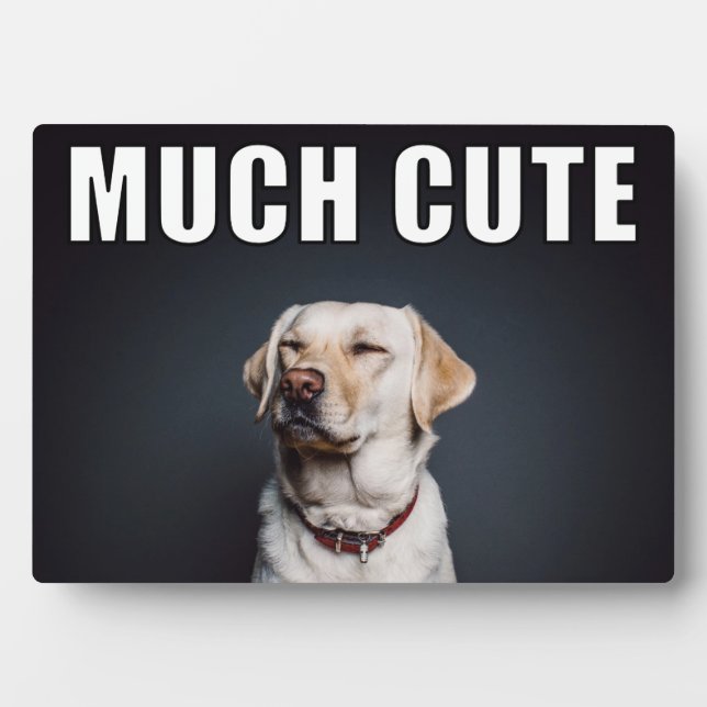Custom Pet Photo Funny Much Cute Meme Style Plaque (Front)
