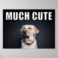 Custom Pet Photo Funny Much Cute Meme Style