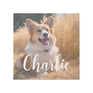 Custom Pet Photo Gallery Wrap