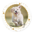 Custom Pet Photo Gold Glitter Stars Dog Birthday