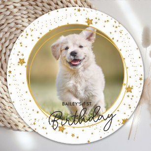 Custom Pet Photo Gold Glitter Stars Dog Birthday Round Paper Coaster