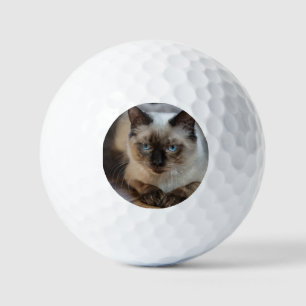 Custom Pet Photo Golf Balls