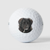 Custom Pet Photo Golf Balls