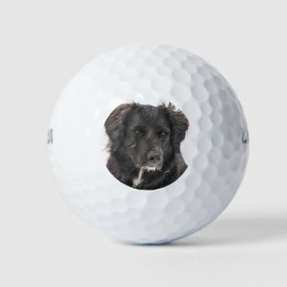 Custom Pet Photo Golf Balls