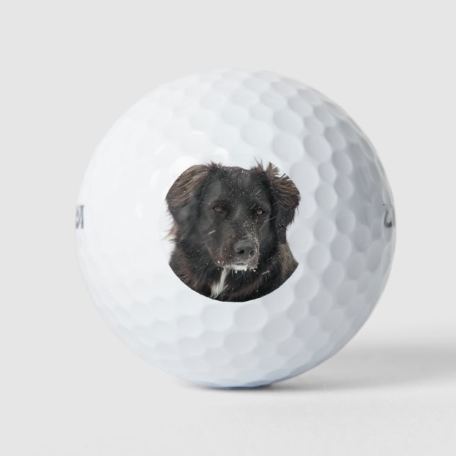 Custom Pet Photo Golf Balls (Front)