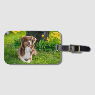 Custom Pet Photo Keepsake For Dog Lovers Luggage Tag