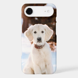 Custom Pet Photo Keepsake Gift Cute Dog or Cat iPhone 17 Air Case
