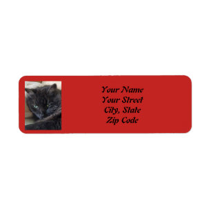 Custom Pet Photo Label