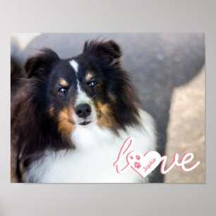 Custom Pet Photo & Love Text With Paws & Name Poster