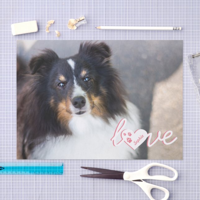 Custom Pet Photo & Love Text With Paws & Name Tissue Paper (Craft)