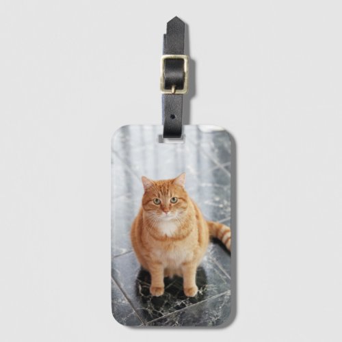 Custom pet photo luggage tag