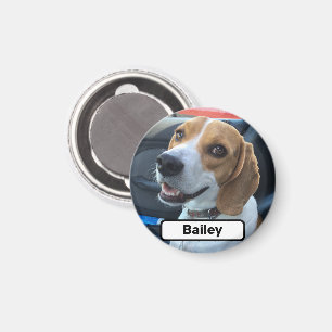 Custom Pet Photo Magnet