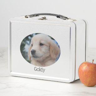 Custom Pet Photo Metal Lunch Box