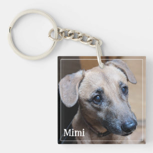 Custom Pet Photo Minimalist Modern Simple Keepsake Keychain