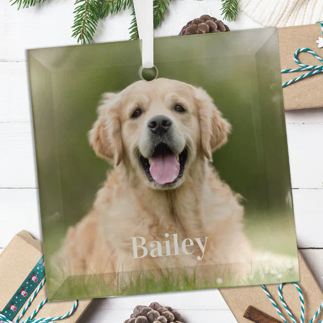 Custom Pet Photo Modern Simple Dog Lover Glass Ornament | Zazzle