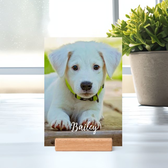Custom pet photo modern stylish holder (Insitu 1)