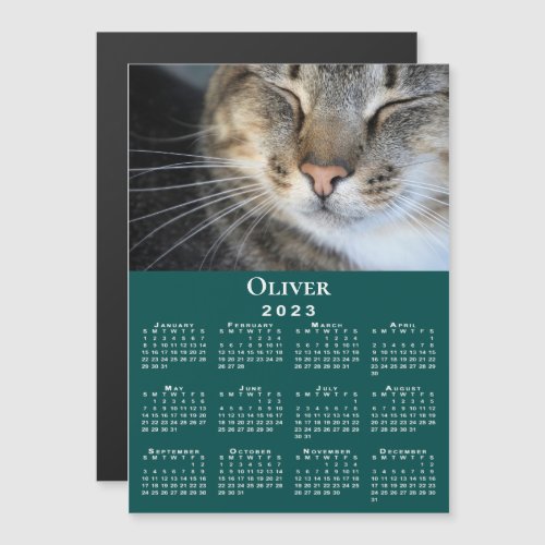 Custom Pet Photo Name 2023 Calendar Teal Magnet