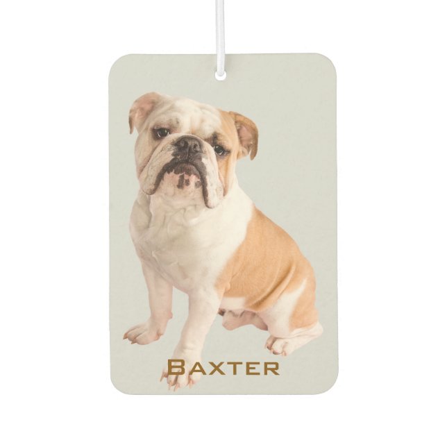Custom Pet Photo Name Air Freshener (Front)