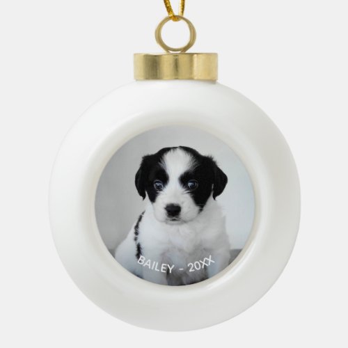 Custom Pet Photo Name and Year Ceramic Ball Christmas Ornament