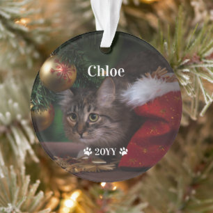 Custom Pet Photo Name and Year Holiday Ornament