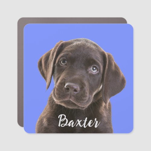 Custom Pet Photo Name Car Magnet