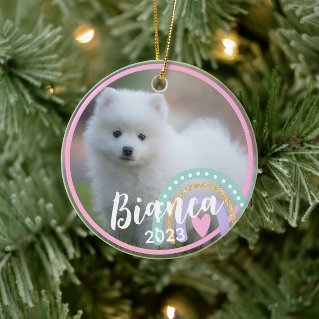 Custom Pet Photo Name Rainbow Ceramic Ornament (Tree)