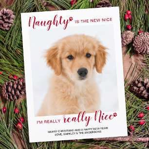 Custom Pet Photo Naught Nice Funny Dog Christmas Holiday Postcard