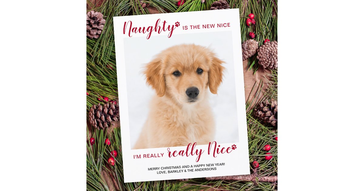 Custom Pet Photo Naught Nice Funny Dog Christmas Holiday Postcard | Zazzle
