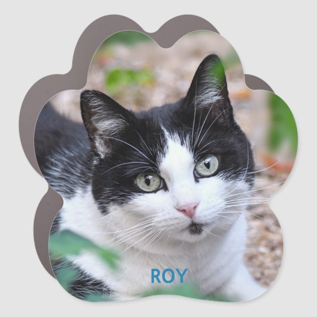 Custom pet photo of tuxedo cat car magnet (Front)