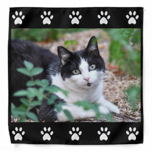 Custom Pet Photo of Tuxedo Cat & Paws on Black Bandana