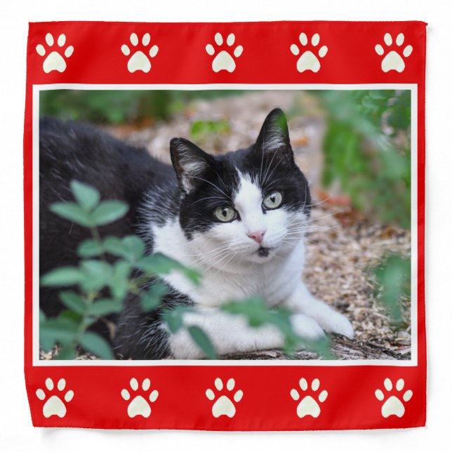 Custom Pet Photo of Tuxedo Cat & Paws on Red Bandana (Front)
