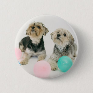 Custom Pet Photo or Any Picture Button