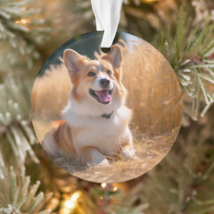 Custom Pet Photo Ornament