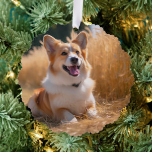 Custom Pet Photo Ornament Card