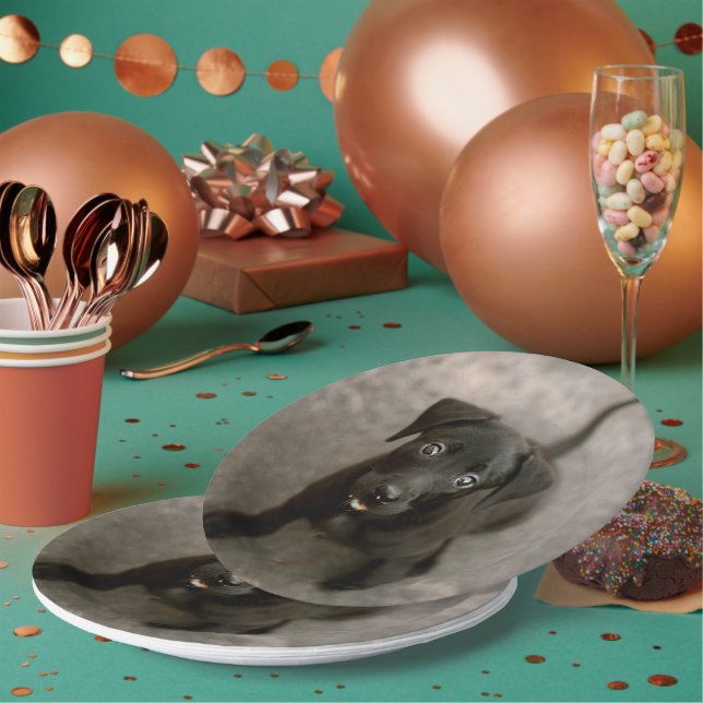 Custom Pet Photo Paper Plates (Multi)