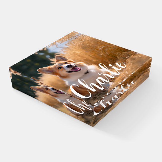 Custom Pet Photo Paperweight (Angled)
