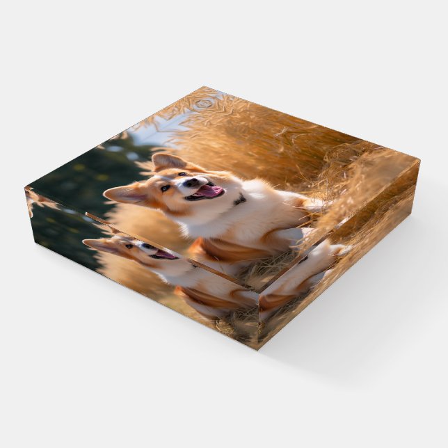 Custom Pet Photo Paperweight (Angled)