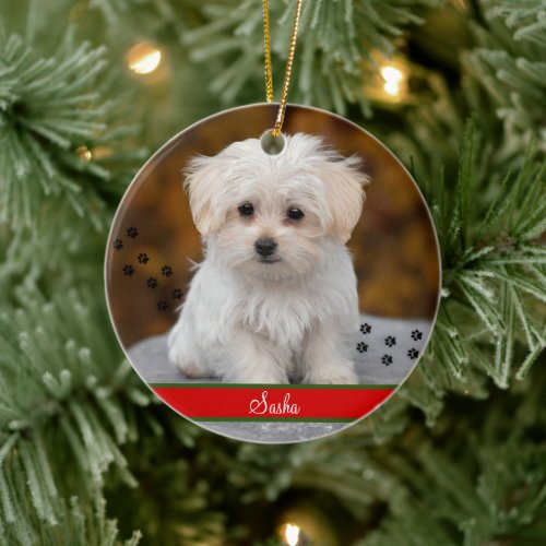 Custom Pet Photo  Personalized Double Sided Ceramic Ornament