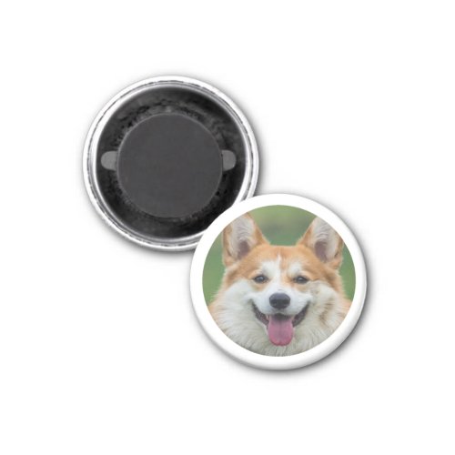 Custom Pet Photo Personalized  Magnet