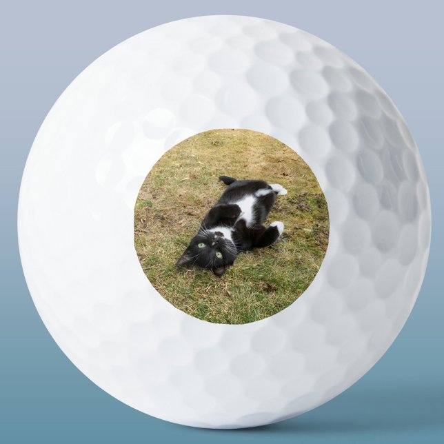 Custom Pet Photo Personalized Modern Golf Balls (Personalized pet photo circle frame custom golf ball for animal lovers)