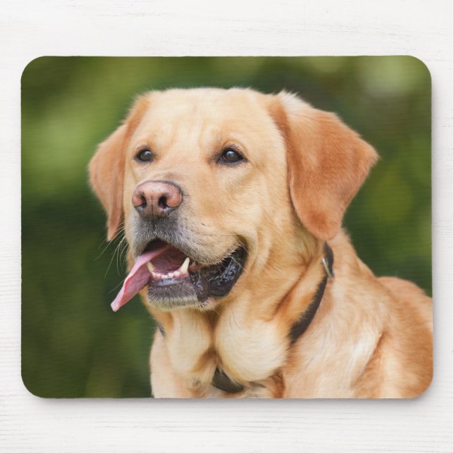 Custom Pet Photo Personalized Mouse Pad (Front)