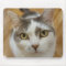 Custom Pet Photo Personalized Mousepad