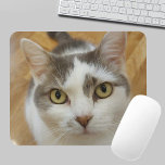 Custom Pet Photo Personalized Mousepad<br><div class="desc">Upload your photo and create a personalized mousepad. You can TRANSFER this DESIGN on other Zazzle products and adjust it to fit most of the Zazzle items. You can also click the CUSTOMIZE button to add, delete or change details like background color, text, font or some graphics. Standard Studio designs...</div>