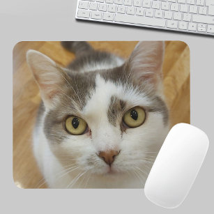 Cats icon cat cute little pet' Mouse Pad