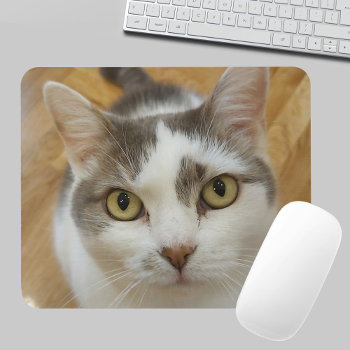 Custom Pet Photo Personalized Mousepad by Standard_Studio at Zazzle
