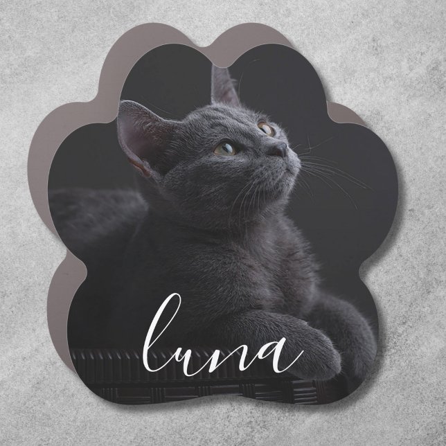 Custom Pet Photo Personalized Name Car Magnet (Pet Car Magnet)