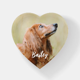 Custom Pet Photo Personalized Paperweight